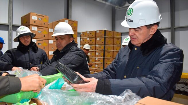 En 2024 se han incautado más de 315 toneladas de clorhidrato de cocaína, 128 toneladas de cocaína y 230 toneladas de marihuana