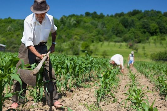 Productoras y productores rurales ya pueden inscribirse en el proyecto Alianzas Productivas