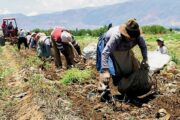 Organizaciones campesinas postularon sus proyectos al nuevo programa de formación para la población campesina