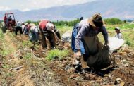 Organizaciones campesinas postularon sus proyectos al nuevo programa de formación para la población campesina