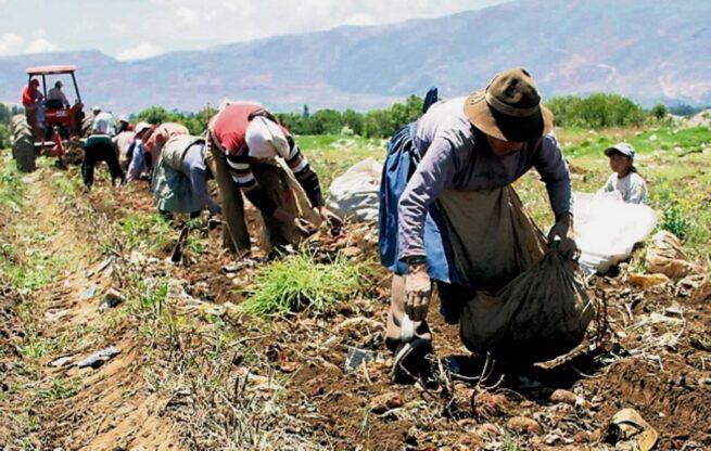 Organizaciones campesinas postularon sus proyectos al nuevo programa de formación para la población campesina