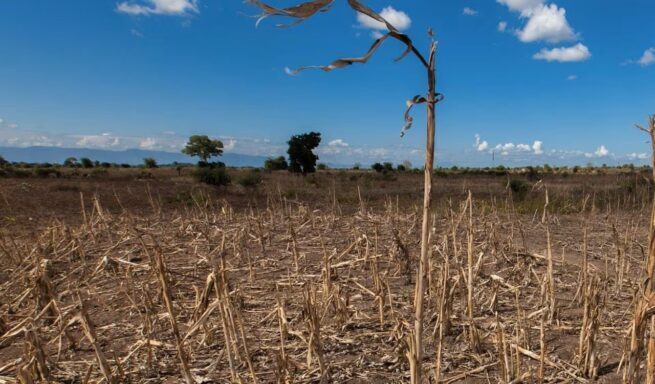 MinMinas dio por superado el fenómeno de El Niño en el sector energía ‘sin un solo día de racionamiento’