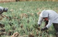 MinAgricultura y Finagro lanzan nueva línea de crédito