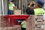 Colombia ha exportado cuatro millones de pollitos de engorde y postura a Venezuela