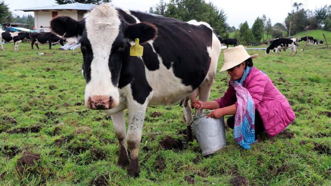 Hay voluntad del Consejo Nacional Lácteo para fortalecer el consumo de leche en Colombia