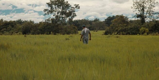 Abierta convocatoria para financiar a quien impulse la restitución en zonas de especial protección ambiental
