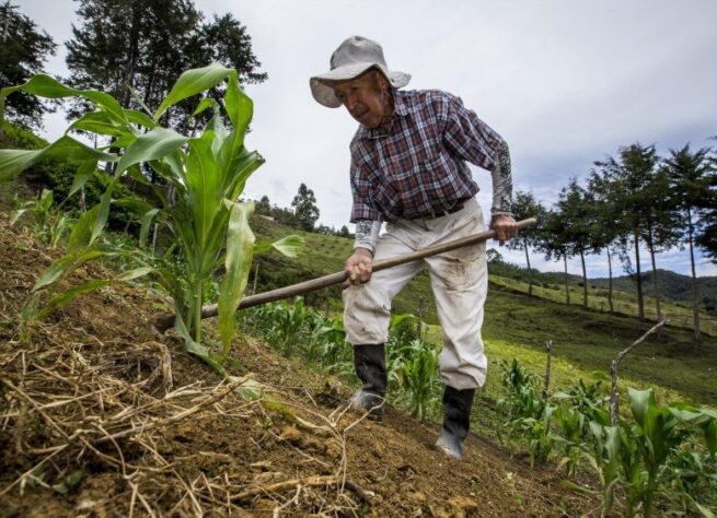 MinAgricultura y JEP firmaron memorando por reparación del campesinado