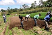 Se abre segunda convocatoria del Programa de Formación Especializada para la Economía Campesina