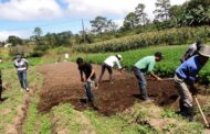 Se abre segunda convocatoria del Programa de Formación Especializada para la Economía Campesina