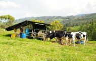 MinAgricultura lidera plan de acción para productores de leche y derivados lácteos