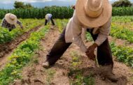 Se instala la Mesa de Cooperación Internacional del Sistema General de Reforma Agraria