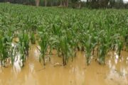 Se realizó mesa técnica agroclimática del Cesar, La Guajira, Magdalena y Atlántico