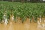 Se realizó mesa técnica agroclimática del Cesar, La Guajira, Magdalena y Atlántico