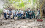 A través del proyecto de Pagos por Servicios Ambientales, en Palomino, La Guajira, sembraron 650 mangles