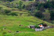 El MinTic e ICA se unen para llevar internet al sector rural del país