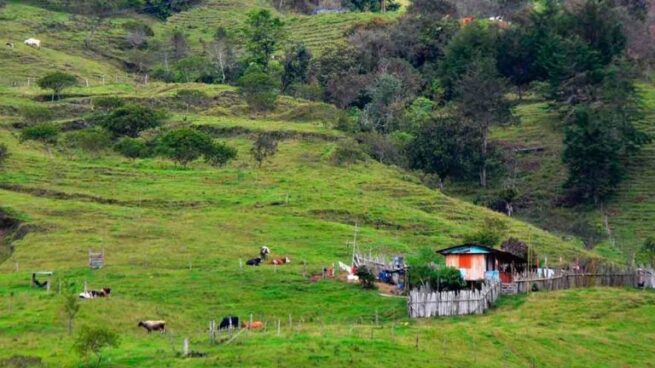 El MinTic e ICA se unen para llevar internet al sector rural del país