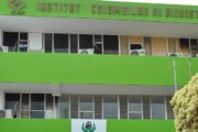 Novedades sobre el proceso de selección para directores regionales del Icbf