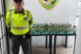 En el Cesar, incautadas 60 unidades de licor adulterado