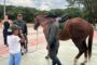 La Policía Metropolitana de Valledupar, celebró jornada de convivencia con tres niños de la ciudad