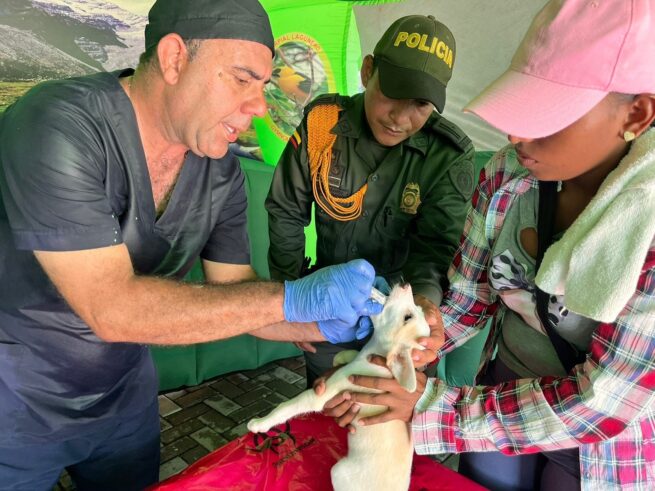 En El Copey, Policía Cesar desarrolló la campaña de salud animal