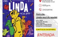 La Alianza Francesa de Valledupar, se une al Festival de Cine Francés