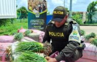 En Riohacha y otras ciudades, más de 115.000 kilos de alimentos fueron incautados