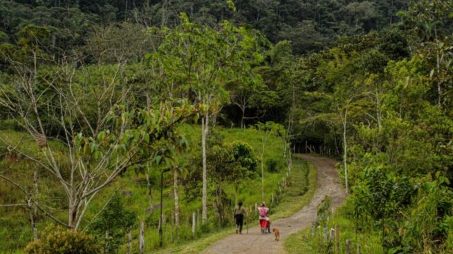 MinAgricultura y MinAmbiente firman decreto para fortalecer la territorialidad de las Zonas de Reserva Campesina