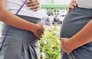 Embarazo adolescente en Latinoamérica: cada minuto 4 niñas se convierten en madres