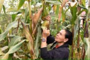 Mujeres rurales cesarenses, habrá convocatoria para apoyar proyectos a través del FOMMUR