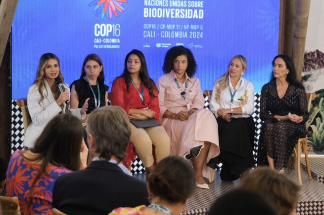 Gobernadora del Cesar fue panelista en la Zona Azul de la COP16