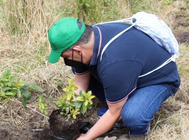 Cesar, uno de los seis departamentos donde Ecopetrol ha sembrado más de 600.000 árboles en humedales