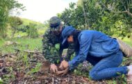 Ejército Nacional lidera la reforestación y recuperación de ecosistemas en el Cesar y La Guajira