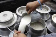 Convocan a compradores y procesadores de lácteos a inscribirse y beneficiarse del incentivo al almacenamiento de leche