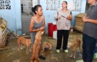 Secretaría Local de Salud atendió llamado por brote de moquillo canino en Valledupar