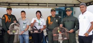 En La Guajira hacen un llamado para proteger a las aves