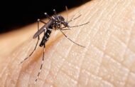MinSalud imparte nuevas directrices ante la alerta por fiebre amarilla en Colombia