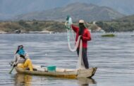 Venezuela y Colombia evalúan establecer un acuerdo en el sector de pesca y acuicultura