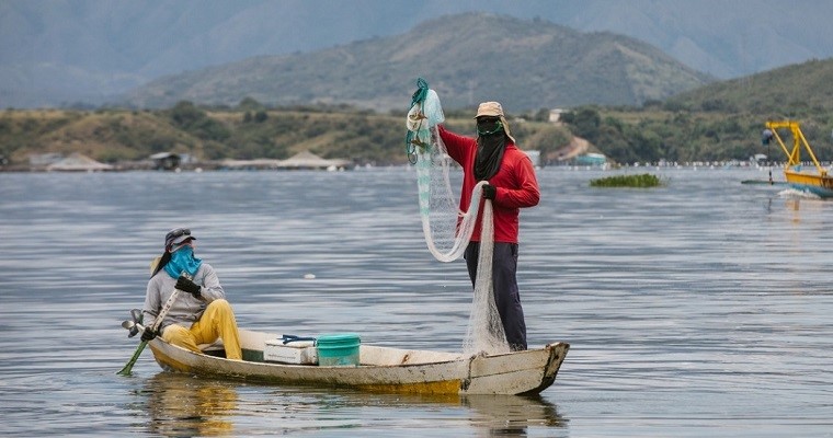 Venezuela y Colombia evalúan establecer un acuerdo en el sector de pesca y acuicultura