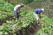 Gobierno y campesinado firmarán en febrero el Pacto por la Tierra y la Vida para impulsar la Reforma Agraria