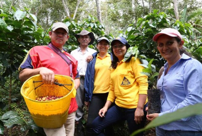 Ocad paz definirá proyectos a ser financiados con la asignación paz