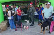 Policía adelantó en Valledupar jornada en pro de las mascotas