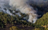 América registró incendios forestales especialmente intensos en 2024, según Copernicus