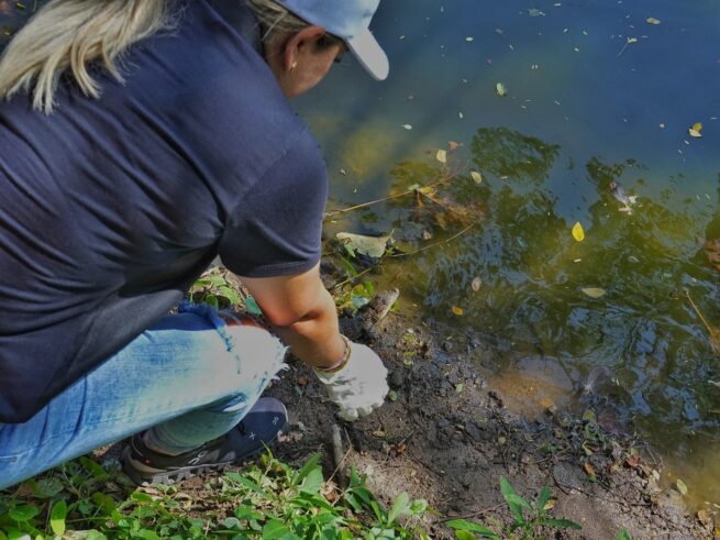 16 especies de fauna silvestre fueron liberadas por Corpocesar