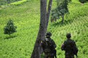 La Procuraduría será garante de la constitución ante la grave crisis del Catatumbo