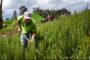 BanAgrario dispone de $ 12 billones para apoyar con crédito a emprendedores del agro y la economía popular en 2025