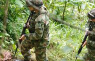 Luego de los enfrentamientos entre Grupos Armados Organizados, 14 sujetos se entregaron al Ejército; un menor fue desvinculado