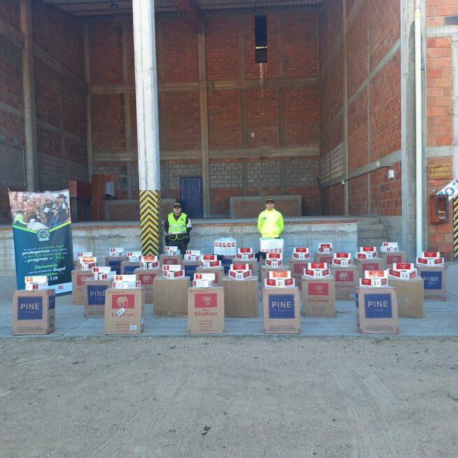 La Polfa incautó más de 22 mil cajetillas de cigarrillo