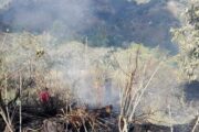 17 municipios del Cesar en alerte por incendios forestales