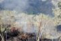 17 municipios del Cesar en alerte por incendios forestales