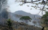 Alerta por intensificación de vientos y riesgo de incendios forestales en La Guajira